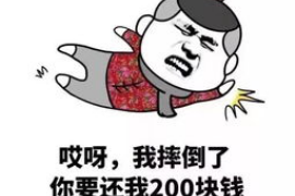 平阳专业讨债公司有哪些核心服务？